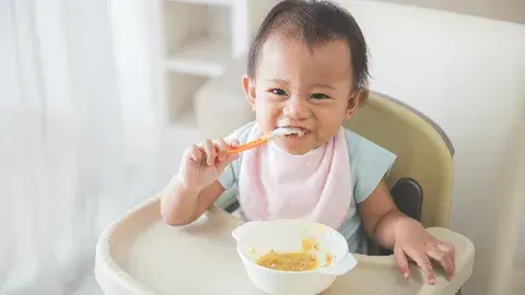 Sistem Pencernaan Bayi Pada Usia 8 Hingga 11 Bulan